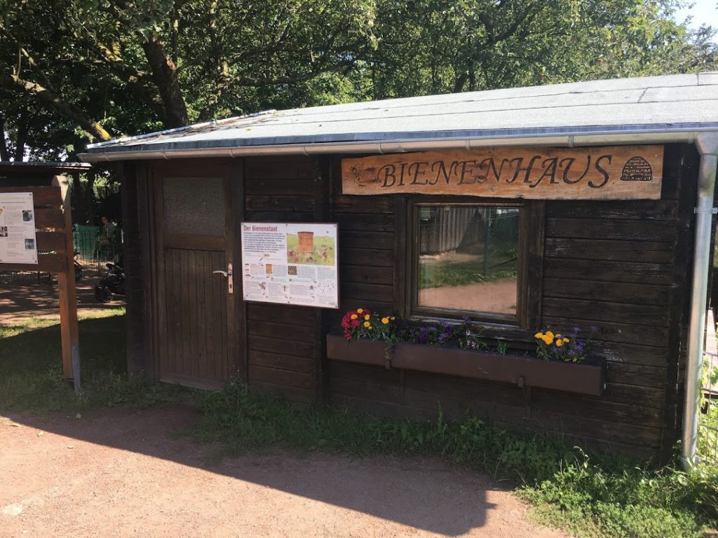 Am Bienenhaus habe ich gelernt, dass noch Heim-Imker gesucht werden!