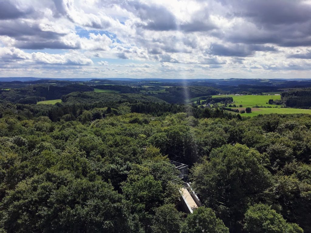 Aussicht auf den Baumwipfelpfad vom Aussichtsturm