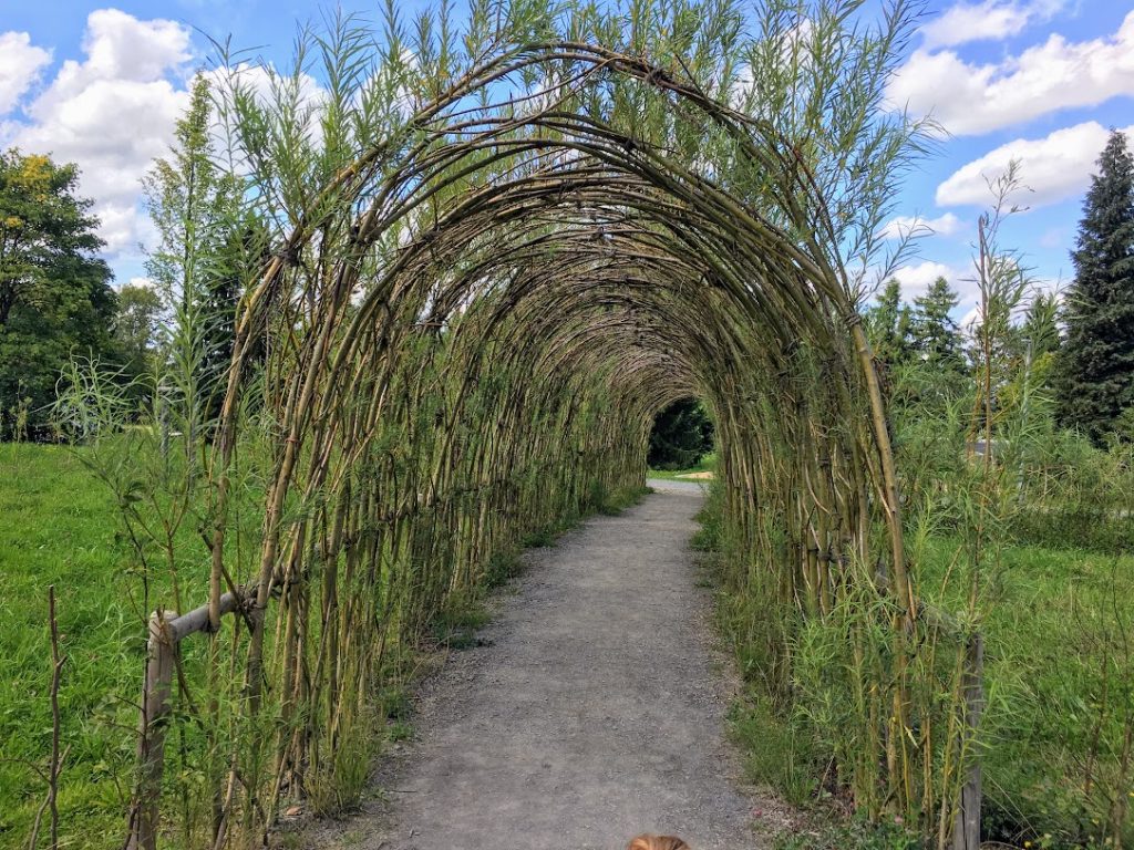 Tunnel und Labyrinthe wollen erforscht werden