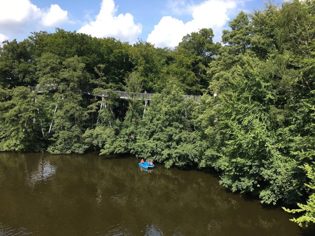 Aussicht auf den Baumkronenpfad.