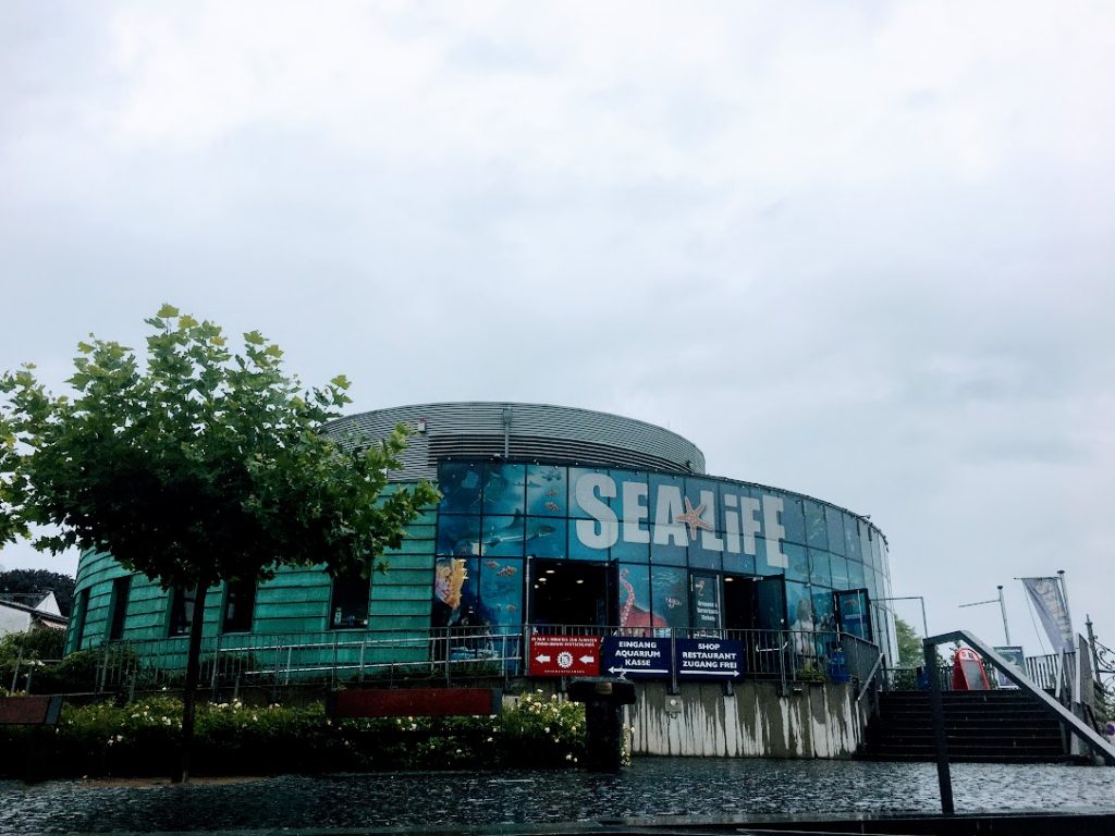 Wolkige Aussichten über Königswinter