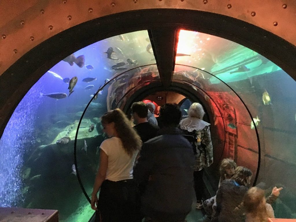 Der Tunnel; auch ziemlich voll.