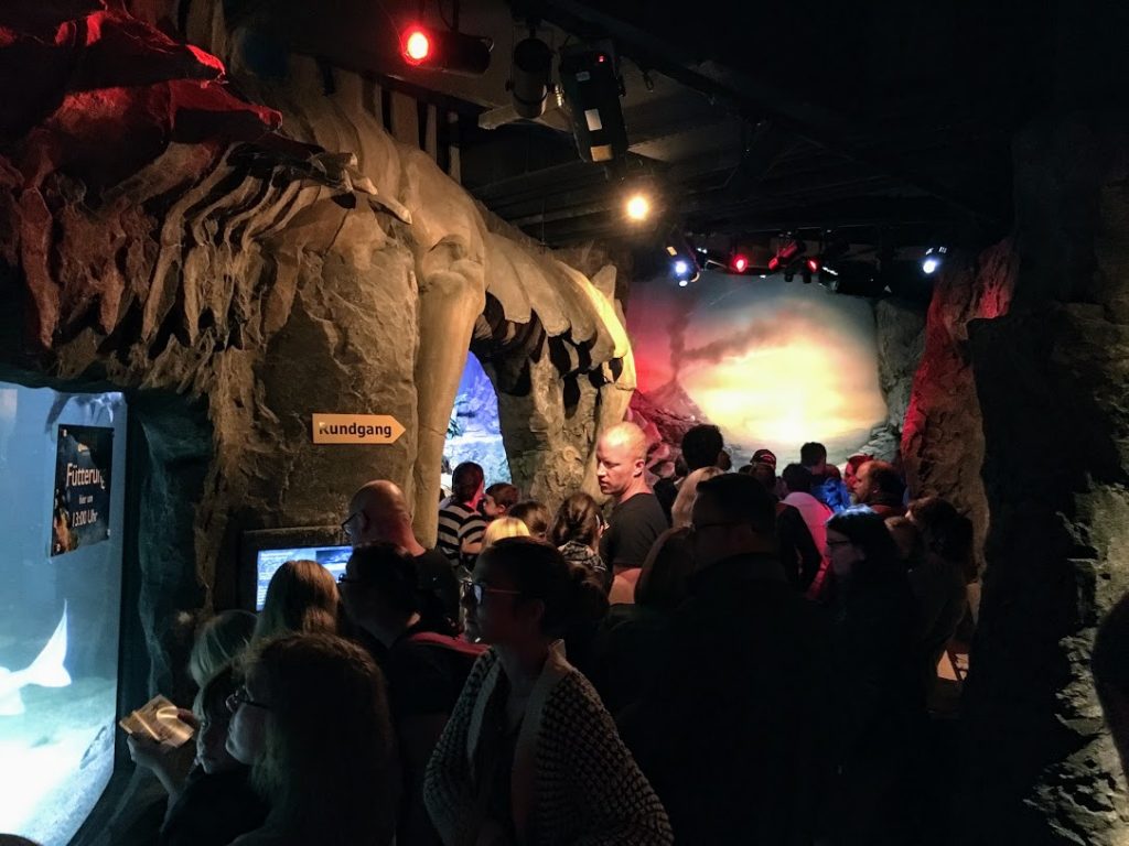 Sea Life: Voll. Sehr, sehr voll.