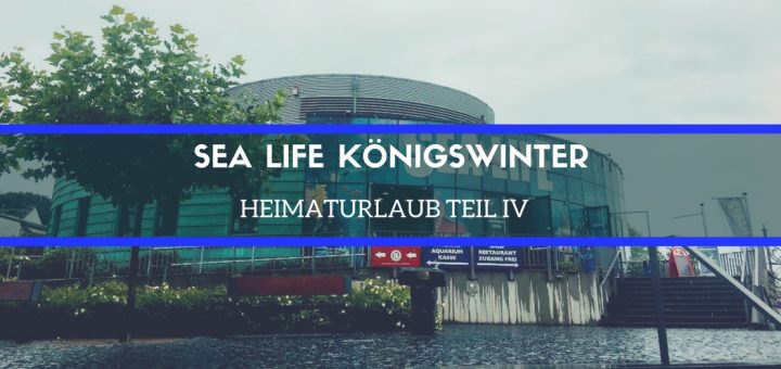 sea-life-koenigswinter
